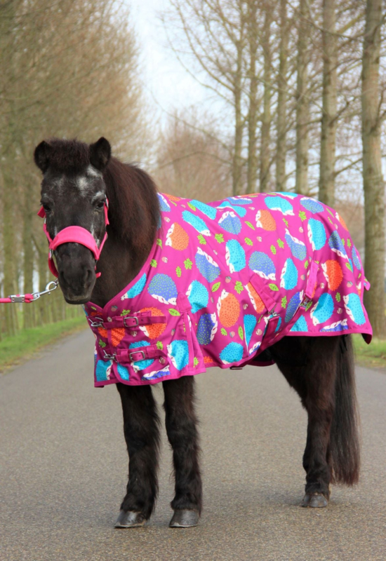 Bloeien Leerling Citaat Regendekens | Paarden, honden en katten spullen kopen doe je bij  Kreukiespaardenpret | Paarden, honden en katten artikelen | Goedkoop |  Snelle levering | Kwaliteit