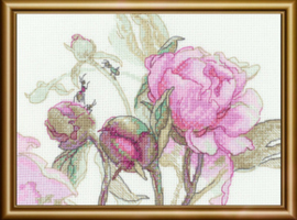 Borduurpakket Peonies - Delight - RIOLIS    aine-a1009
