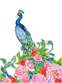 Exotic Peacock / Pauw
