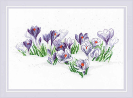 Borduurpakket Crocuses under the Snow - RIOLIS    ri-1855