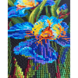 Borduurpakket Beatuful Irises - RIOLIS - ri-2346