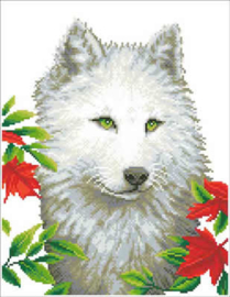 White Wolf / Witte Wolf