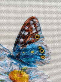 Borduurpakket Fragile Beauty - RIOLIS     ri-2220