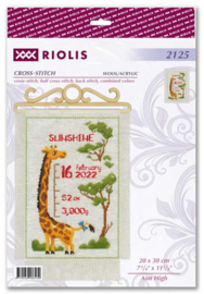 Borduurpakket Aim High - RIOLIS    ri-2125