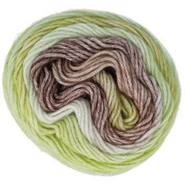 Stone washed flow Bruin 04 / Reverie
