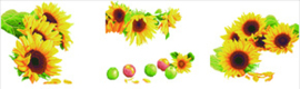 Diamond Dotz Sunflower Days - Needleart World    nw-dd14-001