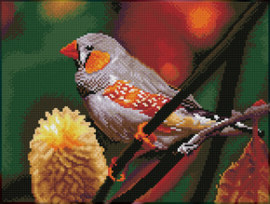 Diamond Dotz Gouldian Finch - Needleart World   nw-dq08-016