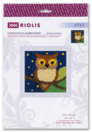 Borduurpakket Owl Among the Stars - RIOLIS / Uil