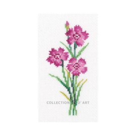 Borduurpakket Carnation - RTO    rto-eh386