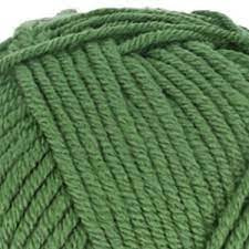 Scheepjes Chunky Monkey / Groen / 1824