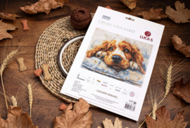 Borduurpakket Cocker Spaniel - Luca-S     ls-bu5058