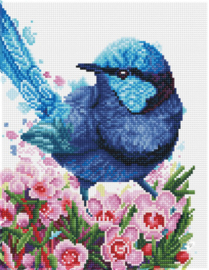 Diamond Squares Splendid Fairy Wren   nw-dq10-023