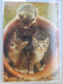 Wenskaarten Dierenkaarten
