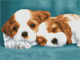 Diamond Dotz Little Champs - Needleart World   nw-dq08-014