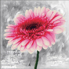 Voorbedrukt borduurpakket Pink Dahlia - Needleart World    nw-nc450-018