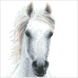 Diamond Art White Horse - Leisure Arts    la-da02-50461