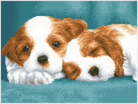 Diamond Dotz Little Champs - Needleart World   nw-dq08-014