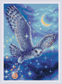 Diamond Mosaic Magic Owl - RIOLIS    ri-am0041
