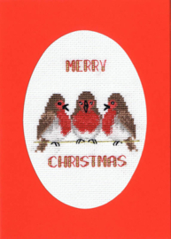 Borduurpakket Christmas Card - Robin Trio - Bothy Threads    bt-dwcdx41