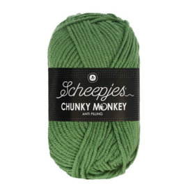 Scheepjes Chunky Monkey / Groen / 1824