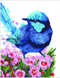 Diamond Squares Splendid Fairy Wren   nw-dq10-023