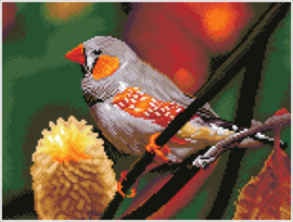 Diamond Dotz Gouldian Finch - Needleart World   nw-dq08-016