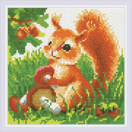 Diamond Mosaic Squirell - RIOLIS    ri-am0077