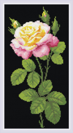 Diamond Mosaic Wonderful Rose - RIOLIS    ri-am0024