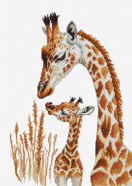 - overige dieren