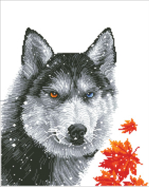 Diamond Dotz Forest Wolf - Needleart World    nw-dd10-040