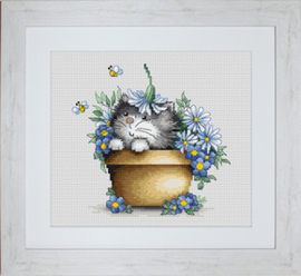 Borduurpakket Kitten in Flowers - Luca-S    ls-b1048