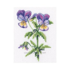 Borduurpakket Violet - RTO    rto-c451
