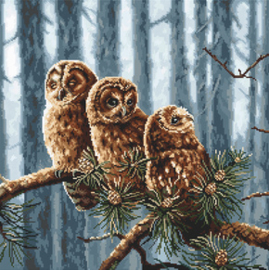 Borduurpakket Owls Family - Leti Stitch    leti-0946