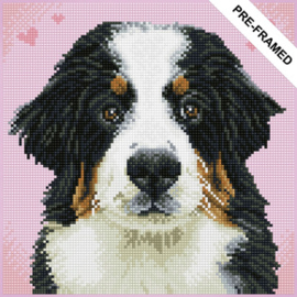 Diamond Dotz Pre-framed Kit - Say Hello to Zuzu - Needleart World  nw-dqk07-001