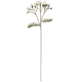 Creative Ricorumi - dk 25g - 57,5m - 383227.061 - Ivoor