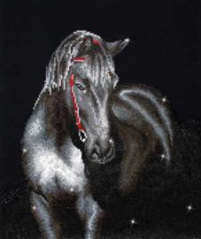 Midnight Stallion / Paard