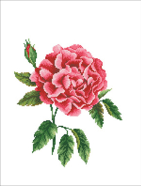 Voorbedrukt borduurpakket Rose Bloom - Needleart World    nw-nc650-028