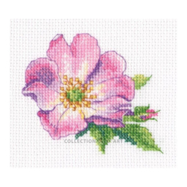 Borduurpakket Wild Rose - RTO    rto-eh383