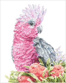 Diamond Dotz Pink Galah & Banksias - Needleart World   nw-dd10-058