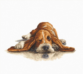 Borduurpakket Basset - Luca-S    ls-b2341