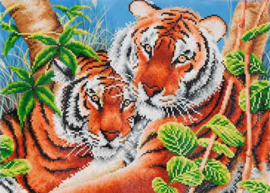 Tender Tigers / Tijgers