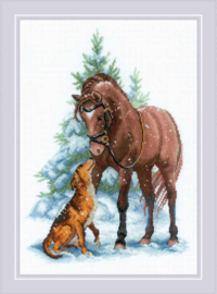 - paarden