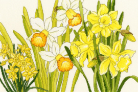Borduurpakket Daffodil Blooms - Bothy Threads    bt-xbd10