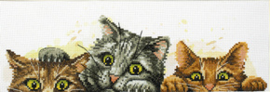 Voorbedrukt borduurpakket Curious Kittens - Needleart World    nw-nc250-003