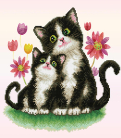 Diamond Dotz Kitty Song - Needleart World   nw-dd07-088