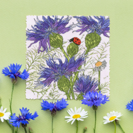 Borduurpakket Fay Martin - Cornflower Garden - Bothy Threads   bt-xfy08
