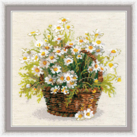 Borduurpakket Russian Daisies - RIOLIS    ri-1478