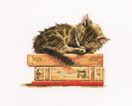 Borduurpakket Cat's Dream - RTO    rto-m00642