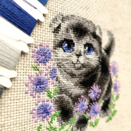 Borduurpakket Lop-eared Kitten - RIOLIS    ri-2120