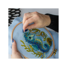 Borduurpakket Baby Sea Horse - Aine     aine-a1038